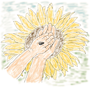 Kinderbetreuung Sonnenblume | Traumstart ins Leben